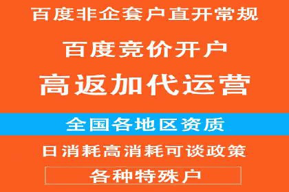 案例研究：竞价广告助力电商行业增长